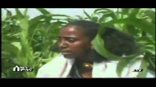 Ethiopian traditional Raya Music quotbesolaquot [upl. by Naillig]