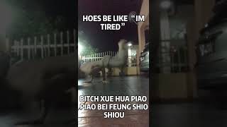 Xue Hua Piao Piao meme [upl. by Tomas]