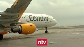 Condor kann vorerst weiterfliegen  ntv [upl. by Karlen]