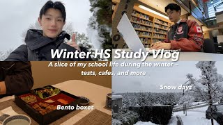 Winter Study Vlog❄️📚 Snow days physics amp econ studies cafe hopping and more [upl. by Jameson]