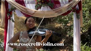 Love Musiq Soulchild amp A Couple of Forevers  Chrisette Michele Violin Cover  Wedding Violinist [upl. by Lehcnom508]