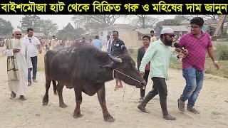 বাইশমৌজা হাট থেকে বিক্রিত গরুর দাম জানুন। গরুর দাম কত ২০২৪ gorur dam koto 202 [upl. by Oliy]