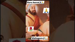 Dhan dhan shire guru harrai ji🙏🙏🙏🙏🌹❤️ [upl. by Dougald]