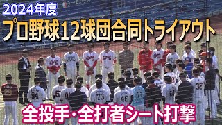 【プロ野球12球団合同トライアウト】元巨人の陽岱鋼など45人が参加／全投手全打者シート打撃ダイジェスト [upl. by Nyrehtak]