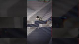 Skateboard Stair Fail [upl. by Dacey]