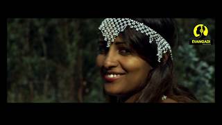 Nigusu Tamirat Official Video Ethiopian Music [upl. by Hershell678]