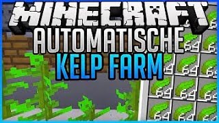 Einfache Seetang Farm Minecraft Kelpfarm 1201 Tutorial [upl. by Eatnahc]