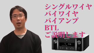 【初心者、中級者の方必見！】シングルワイヤ、バイワイヤ、バイアンプ、BTLの4つで比較試聴！音質を検証してみたぞ！ [upl. by Darcey]