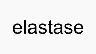 How to pronounce elastase [upl. by Starinsky268]