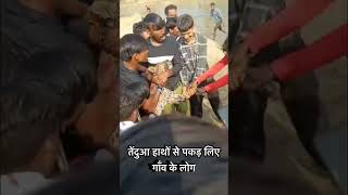 Tindua ￼ Pakad liye Gaon Ke Log vishalsingh funny vishalsingh arijitsingh funnymoment [upl. by Sylas459]