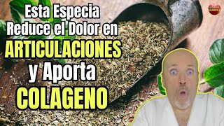 😱 ESTA ESPECIA REDUCE EL DOLOR EN LAS ARTICULACIONES Y APORTA COLAGENO 😱 [upl. by Ahcas]