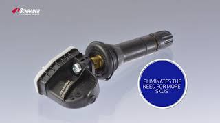 Schrader EZsensor Overview [upl. by Chassin]