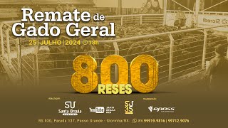 Remate de Gado Geral  800 Reses  25 de Julho de 2024 [upl. by Giah]