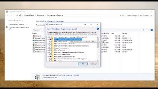 How To Disable NET Framework On Windows 10 [upl. by Pickar]