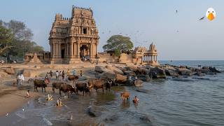 Mahabalipuram India🇮🇳 Ancient Temples and Rock Carvings Over 1300 Years Old 4K HDR [upl. by Ettezzil883]