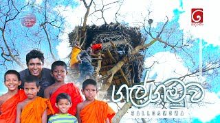 සුන්දර ගල්ගමුව  Travel with Chatura  Galgamuwa [upl. by Kaasi]