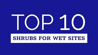 Top Ten Shrubs for Wet Sites [upl. by Iaht]