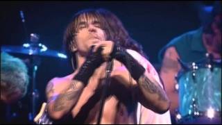 Red Hot Chili Peppers  Californication  Live at Olympia Paris [upl. by Ocirema]