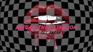 Megan Thee Stallion  Big Ole Freak Official Lyric Video [upl. by Lutim]