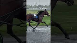 Harness racing action in the rain playbigm harnessracing meadowlandsracetrack [upl. by Laktasic]