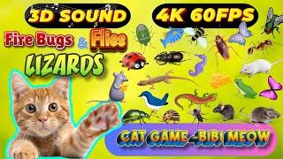 CAT GAMES TOM TV amp BiBi  Ultimate Compilation Catching The LIZARDS  Flies FireBugs🦎11 HOUR🦎Vol 26 [upl. by Nosna]