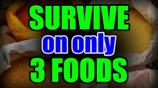 Stockpile ONLY 3 FOODS to SURVIVE – Why this is ALL you NEED [upl. by Goss]