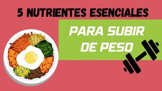 5 nutrientes esenciales para subir de peso  Como subir de peso 🥗🍗🥑🌾 [upl. by Fauman30]