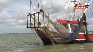 Waterplanten maaien in Markermeer [upl. by Alraep]