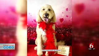 Kiefer Dog Groomer Offers Pet Portraits To Clients [upl. by Nava366]