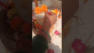 Shivling per ek safed pushp aur shehad ka chamatkari achuk upay karnahar har mahadevshortvideo [upl. by Thun673]