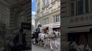 In a “Bridgerton” style vienna bridgerton Netflix lifestyle horse netflixseries bridgertons [upl. by Nehttam]