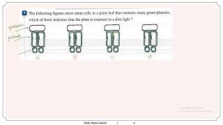 Biology  Secondary Two  Answers of Chapter One Lesson Two Photosynthesis حل اسئله المعاصر [upl. by Asare]