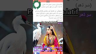 Poetry shah latif115 shortsviralvideo youtubeshorts youtubevideo foryou usaltafmallah [upl. by Feil]