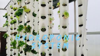 How To Build A Vertical Hydroponic System A Simple 4 Tower DIY Hydroponic Garden Part 1 The Base [upl. by Aixela892]