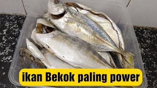 CARA BUAT IKAN BEKOK BY NEKYAH SEDAP NGOTI WEEH [upl. by Rolyks]