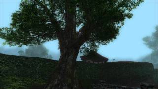 LOTRO Music  Northcotton Farms [upl. by Leinehtan]