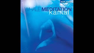 Whale Meditation  Kamal [upl. by Mohn898]