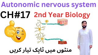 Autonomic nervous system  12 Class biology  2ndyearbiology [upl. by Herby]