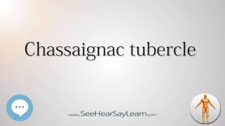 Chassaignac tubercle Anatomy Named After People 🔊 [upl. by Guimar]