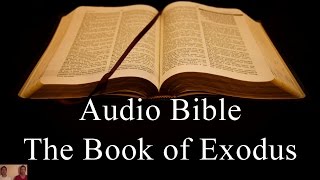 The Book of Exodus  NIV Audio Holy Bible  High Quality and Best Speed  Book 2 [upl. by Hama]