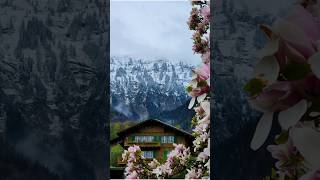 Beautiful hotel in Switzerland hotel switzerland beautiful subscribe ytshort travel goviral [upl. by Aramat586]