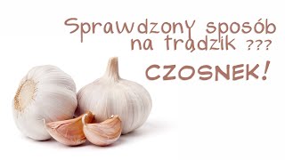 Mój sprawdzony sposób na trądzik  pryszcze  CZOSNEK [upl. by Kristin554]