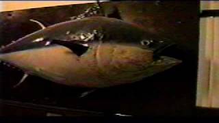 Charlie the Tuna  The Liverpool Documentary 1997 [upl. by Drogin]