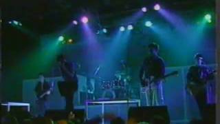 The Undertones  Jimmy Jimmy live 1983 [upl. by Nyladnewg]