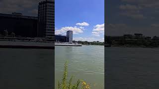 Ludwigshafen am Rhein nach Hochwasser Rhein hochwasser shorts [upl. by Naujad278]