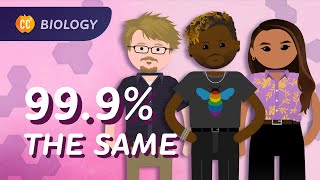 Population Genetics Why do we have different skin colors Crash Course Biology 14 [upl. by Emearg]