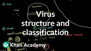 Virus structure and classification  Cells  MCAT  Khan Academy [upl. by Laidlaw]