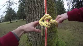 How to tie a blakes hitch for tree climbing [upl. by Shirl]