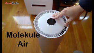 Molekule Air LargeRoom Air Purifier Unboxing amp Setup [upl. by Dolli]