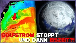 Kommt die EISZEIT Die Wahrheit über den GOLFSTROM [upl. by Ot]